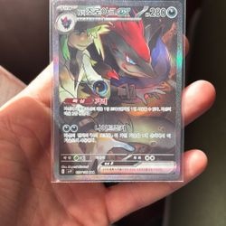 N’s ZOROARK BATTLE PARTNERS KOREAN!! 