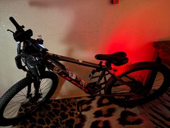 Electric bike