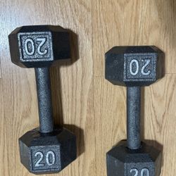 Pair Of 20lbs Dumbbells 💪 