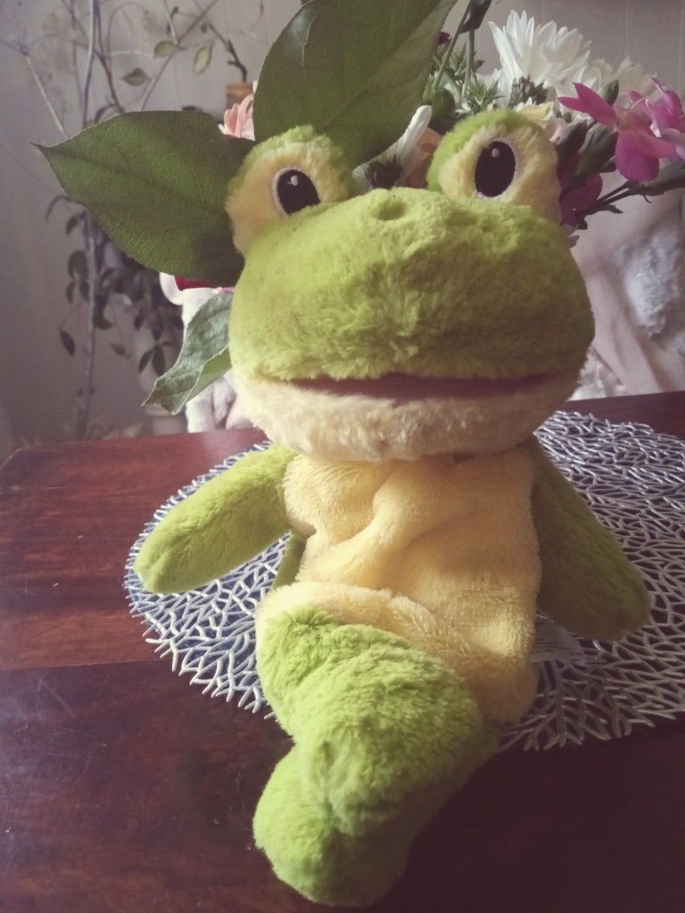 Green Puppet Frog