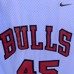 2003 Jordan 45 Jersey Men’s Large