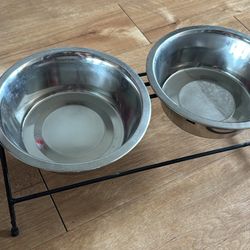 Dog Bowl