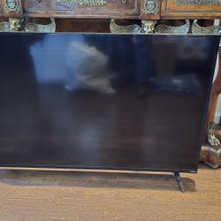 55" Vizio TV