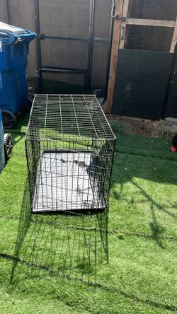 Dog Cage 