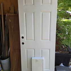 Exterior Door With Dog Door (Small Dogs Only)