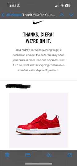 Nike Dunk Low Disrupt