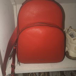 CALVIN K. PURSE/BACKpack 