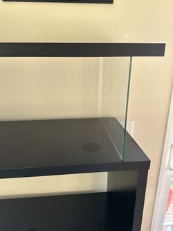 Decorations Cabinet Brand New Solid Wood And Glass 