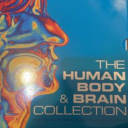 The human body and brain collection