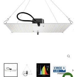 Gorilla Grow Tent 