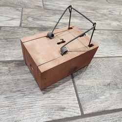 Wood gopher trap