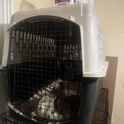 Cage
