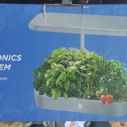 Wattne Hydroponic Grow System 