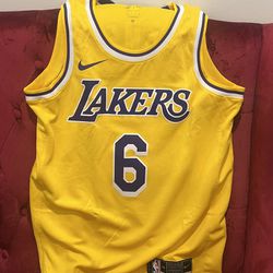 Lebron James Lakers Jersey Brand New 