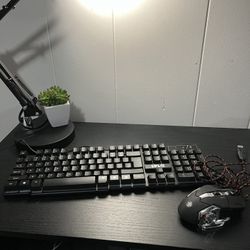 RGB Keyboard And Mouse (Read Description)
