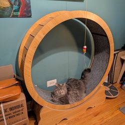 Cat & Dog Exercise Wheel XL
