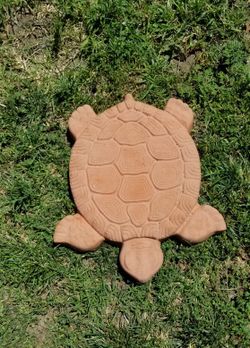 Stepping Stones Turtle Shaped