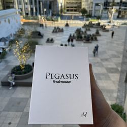 Finalmouse Starlight 12 Pegasus Medium