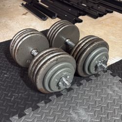 100lb adjustable dumbbells