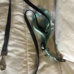 leash and collar 