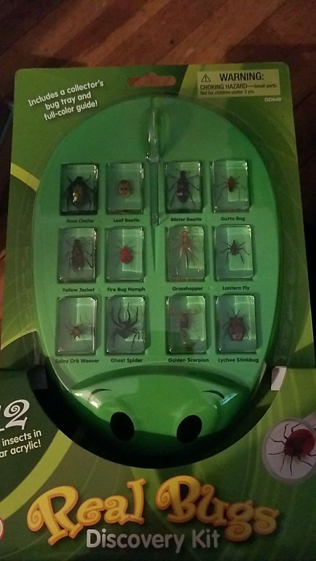 Real bugs discovery kit
