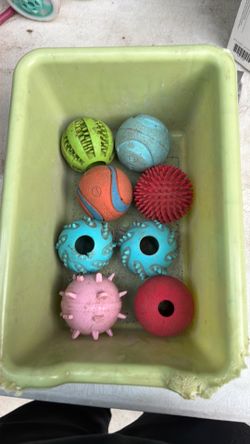 14 dog balls