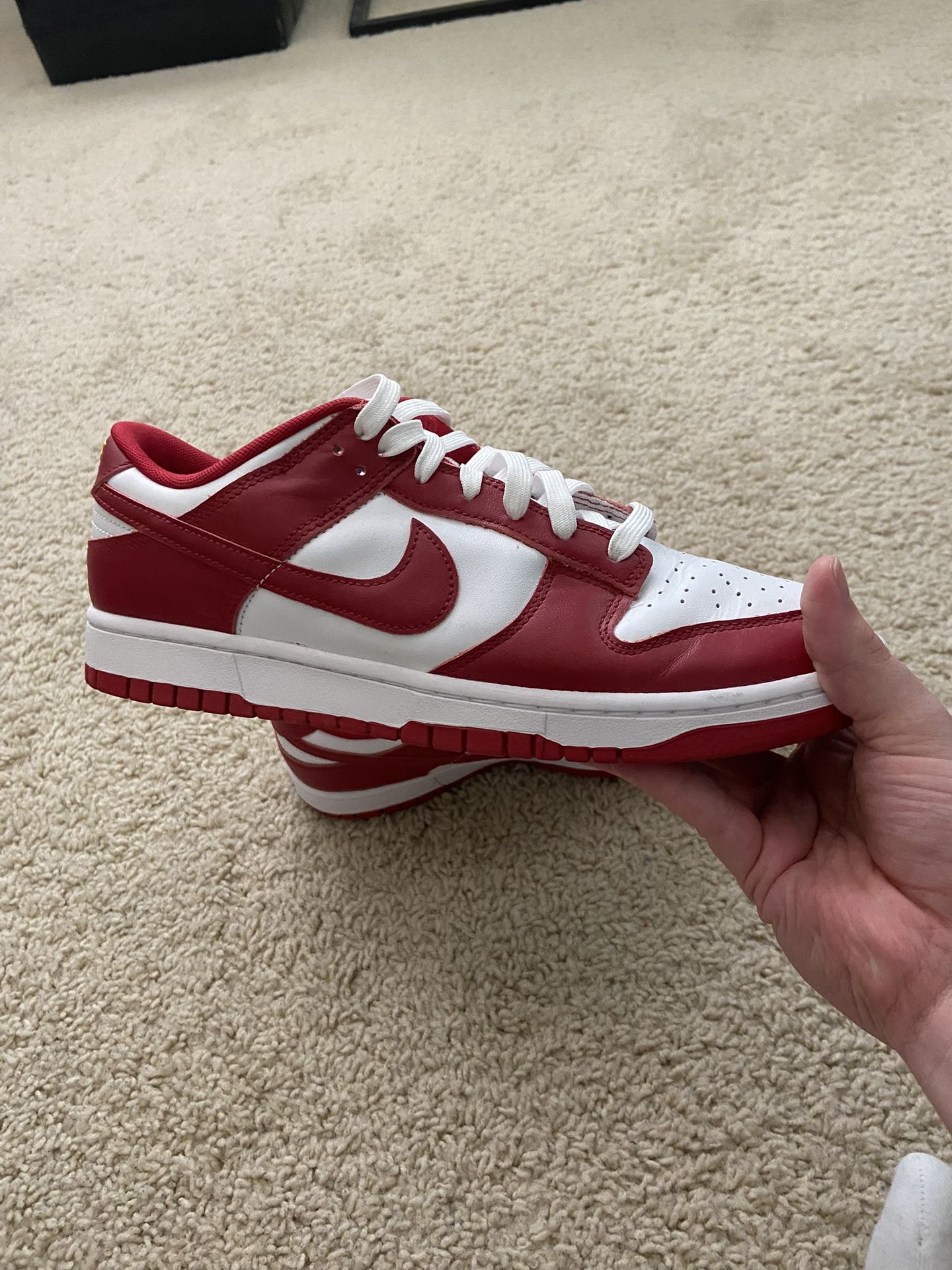 Nike Dunks