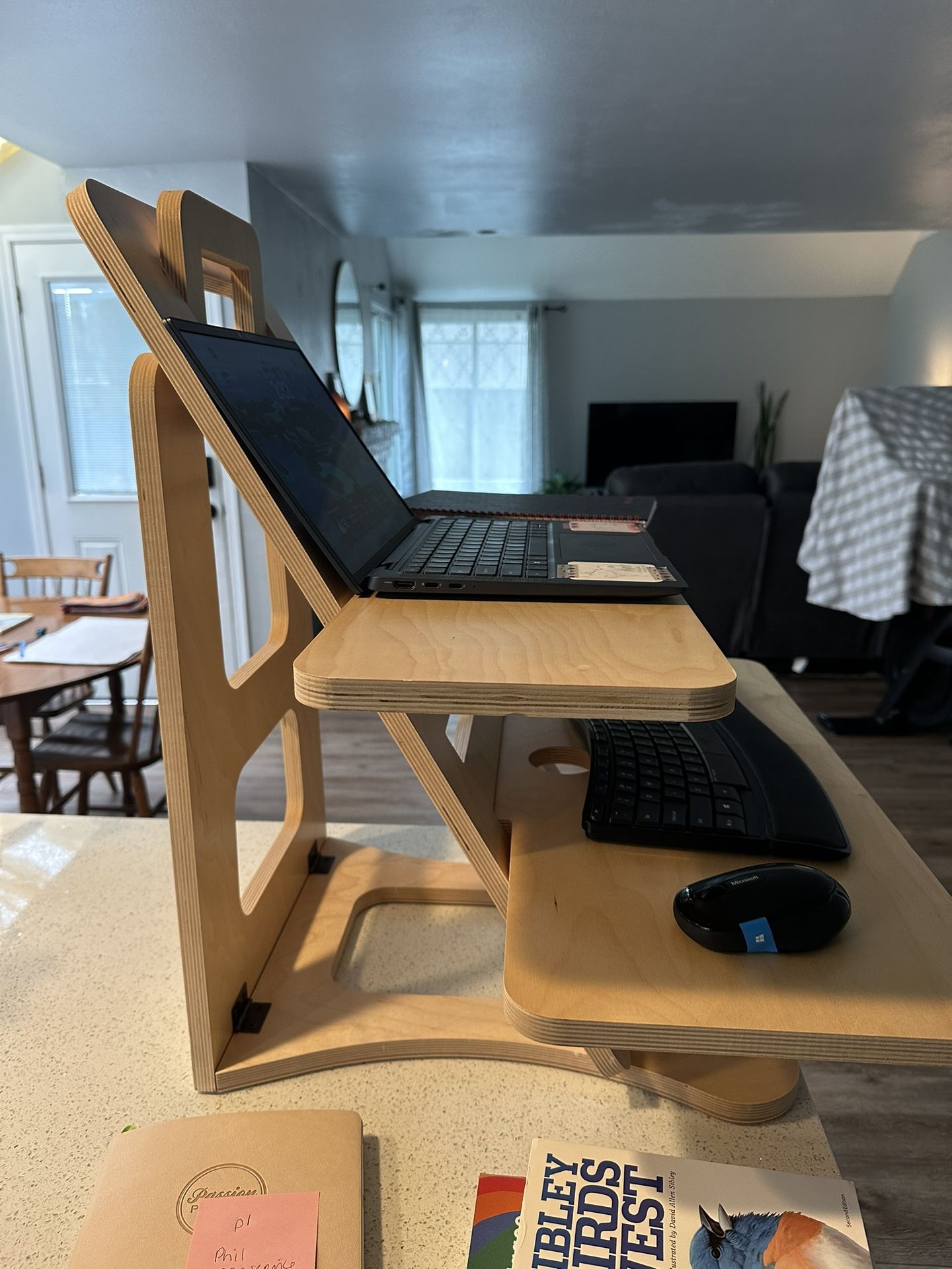 Portable Stand-Up Desk