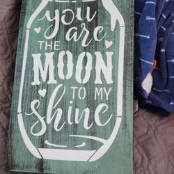 Cute Hidden Gun Case