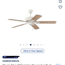 Ceilling Fan No Light  