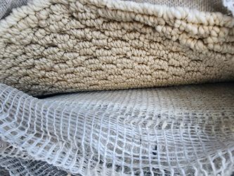 BRAND NEW Carpet