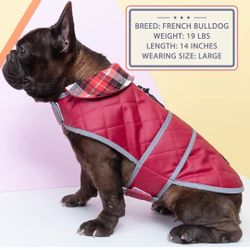 New XL Waterproof Dog Jacket