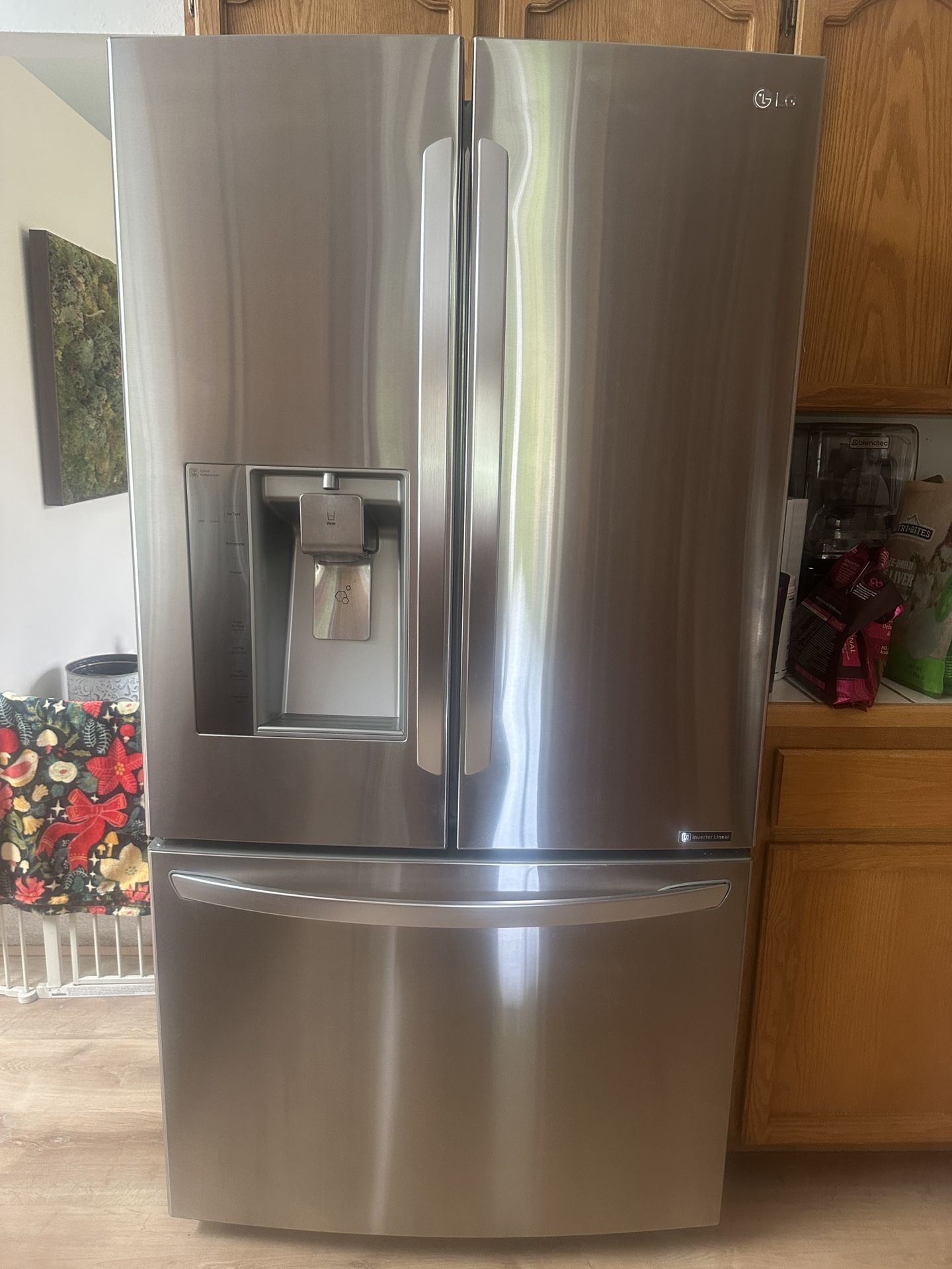 LG 3-Door Counter depth Refrigerator SS Purchased In 2019