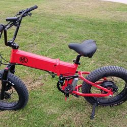 Fat tire electric bike