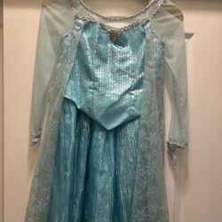 Elsa Princess Costume 
