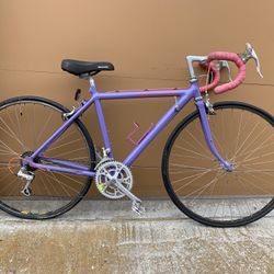Vintage Cannondale Road Bike