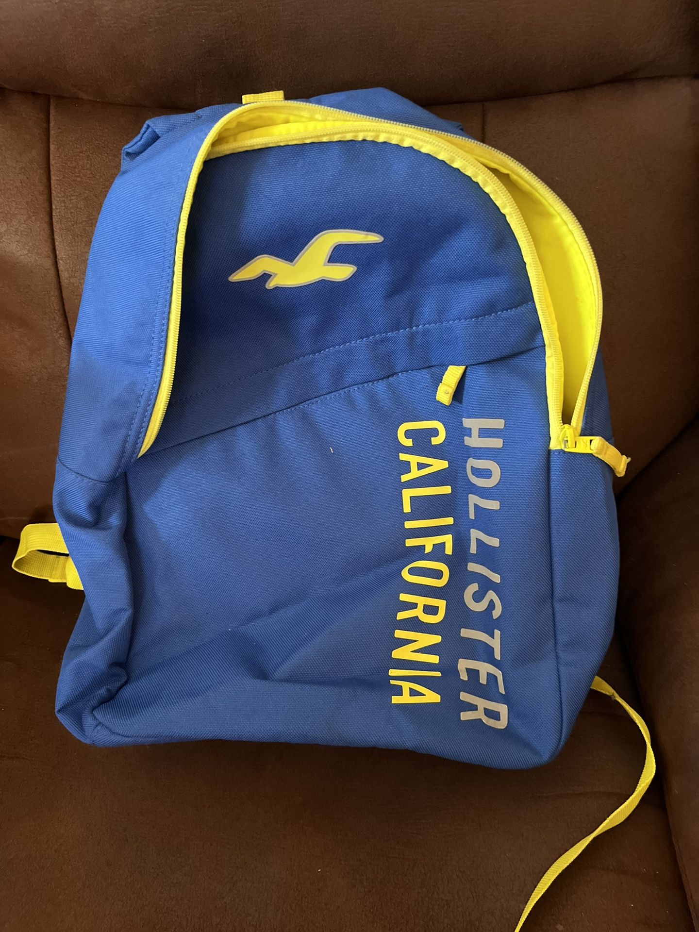 Hollister Backpack 