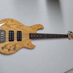 Bass Guitar (Electric)/Case Bag