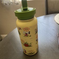 Disney Stainless Steel Water Bottle