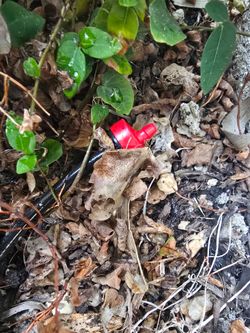 Irrigation Valves