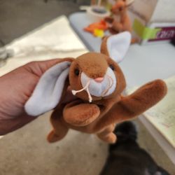 USED TY BEANIE BABY  EARS 1995