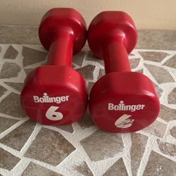 Set Of 6 Pound Bollinger Weights