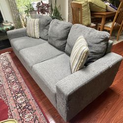 Free Couch With 2 Pillows