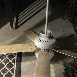 Ceiling Fan