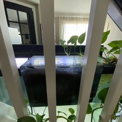 Aquaclear Fluval 110
