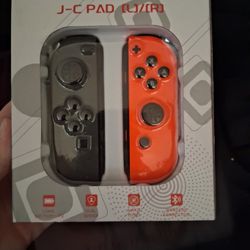 Nintendo Switch Remote 