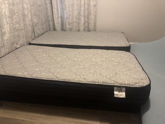 Twin Mattress and Box Spring