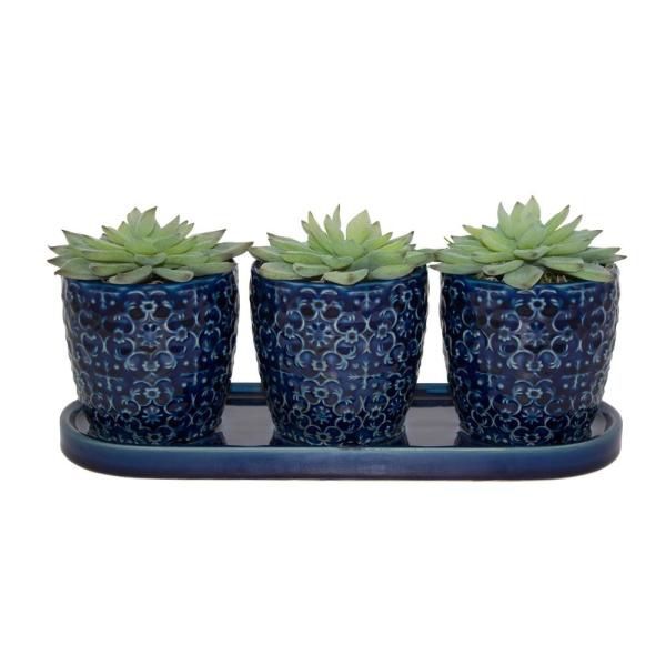 Deep blue ceramic pot for 3 small plants
