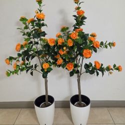 PAIR of 5ft Faux Orange Camellia Trees in 16" White/Black Resin Planters (2 for $110) @ Lasting Creations