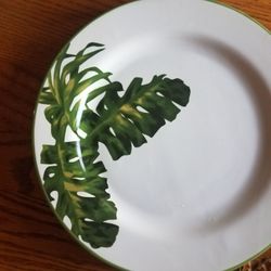 Set Of 4 Palm tree dishes And Cups